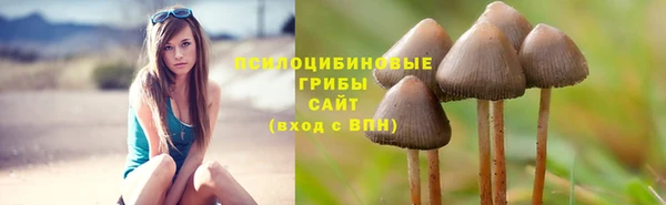 героин Белокуриха