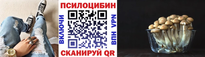 Псилоцибиновые грибы Psilocybe  Наволоки 